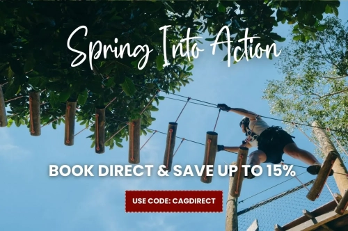 Spring Into Action